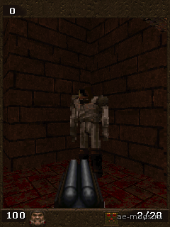 QUAKE скриншот №4