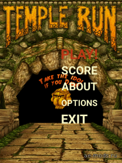 Temple Run скриншот №3